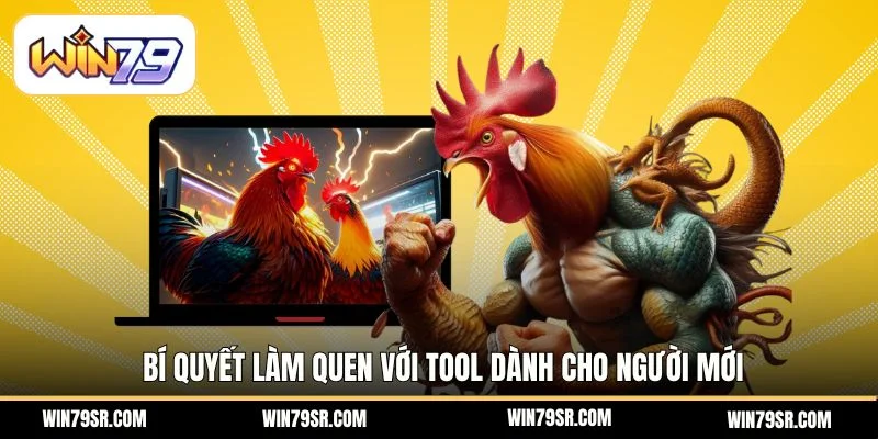 Bí quyết làm quen với tool dành cho người mới