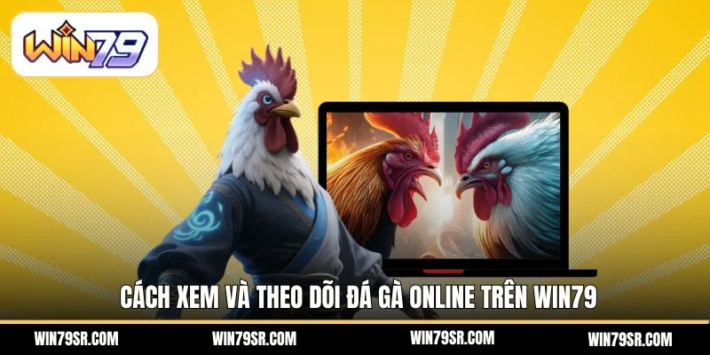 Cách xem và theo dõi đá gà online trên Win79