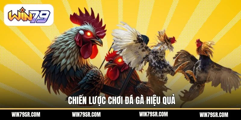 Chiến lược chơi đá gà hiệu quả