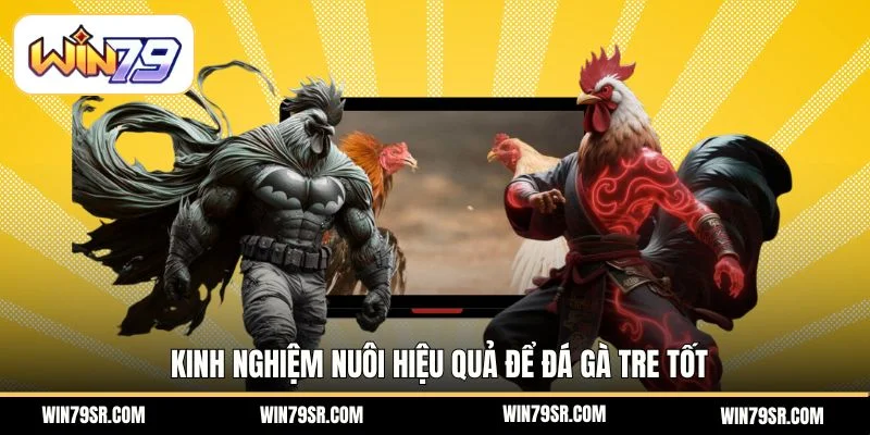 Kinh nghiệm nuôi hiệu quả để đá gà tre tốt